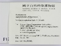 登錄號:F0012780藏品圖，第2張