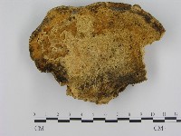 登錄號:F0012780藏品圖，第1張