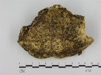 登錄號:F0012780藏品圖，第3張