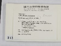 登錄號:F0012781藏品圖，第2張