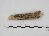 登錄號:F0012781藏品圖，第1張