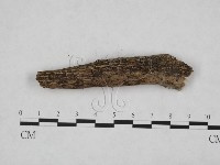 登錄號:F0012781藏品圖，第3張