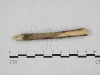 登錄號:F0012781藏品圖，第4張