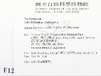 登錄號:F0012782藏品圖，第2張