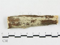 登錄號:F0012782藏品圖，第1張