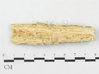 登錄號:F0012782藏品圖，第3張