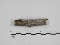 登錄號:F0012783藏品圖，第1張