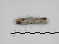 登錄號:F0012783藏品圖，第3張