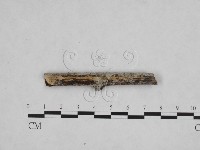 登錄號:F0012784藏品圖，第1張