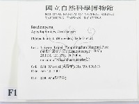 登錄號:F0012785藏品圖，第2張