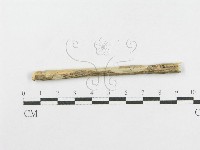 登錄號:F0012785藏品圖，第3張