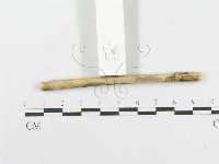 登錄號:F0012785藏品圖，第4張