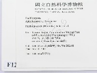 登錄號:F0012786藏品圖，第2張