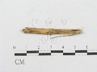 登錄號:F0012786藏品圖，第1張