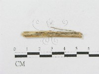 登錄號:F0012786藏品圖，第3張