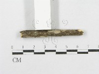 登錄號:F0012787藏品圖，第3張