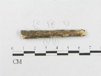 登錄號:F0012787藏品圖，第4張