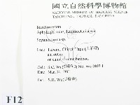 登錄號:F0012788藏品圖，第2張