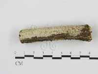 登錄號:F0012791藏品圖，第1張