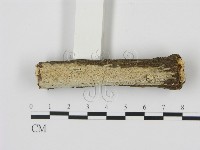 登錄號:F0012791藏品圖，第3張