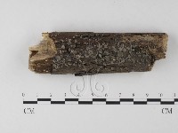 登錄號:F0012793藏品圖，第1張