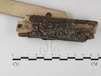 登錄號:F0012793藏品圖，第3張