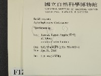 登錄號:F0012794藏品圖，第2張