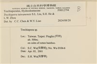 登錄號:F0012794藏品圖，第3張