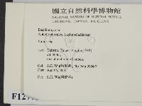 登錄號:F0012795藏品圖，第2張