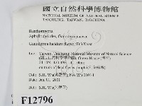 登錄號:F0012796藏品圖，第2張