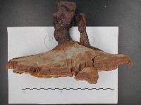 登錄號:F0012796藏品圖，第4張