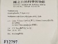 登錄號:F0012797藏品圖，第2張
