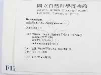 筍殼菌屬藏品圖，第2張