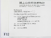登錄號:F0012799藏品圖，第2張
