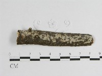 登錄號:F0012799藏品圖，第1張