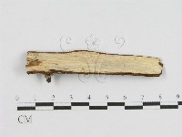 登錄號:F0012799藏品圖，第3張