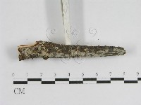 登錄號:F0012799藏品圖，第4張