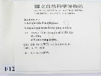 Accession Number:F0012800 Collection Image, Figure 2, Total 4 Figures