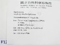 登錄號:F0012801藏品圖，第2張