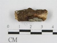 登錄號:F0012801藏品圖，第1張