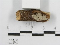 登錄號:F0012801藏品圖，第5張