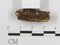 登錄號:F0012801藏品圖，第6張