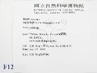 筍殼菌屬藏品圖，第2張