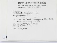 登錄號:F0012809藏品圖，第2張