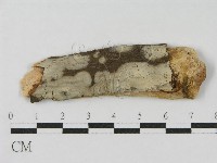 登錄號:F0012809藏品圖，第1張