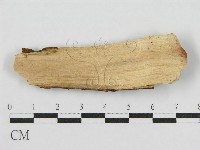 登錄號:F0012809藏品圖，第3張