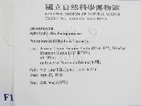 登錄號:F0012811藏品圖，第2張