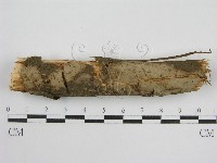 登錄號:F0012811藏品圖，第1張