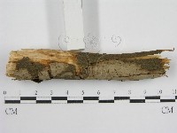 登錄號:F0012811藏品圖，第3張