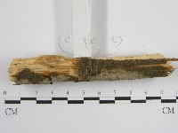 登錄號:F0012811藏品圖，第4張